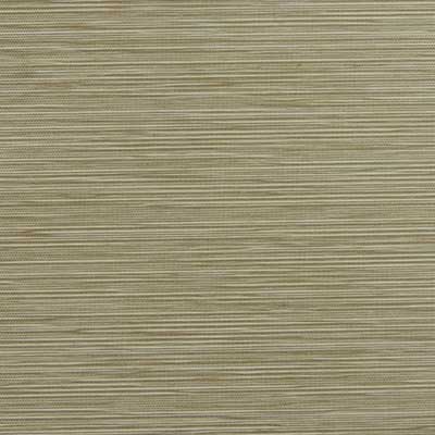 Blackout Devon - Generico-250cm x mtl