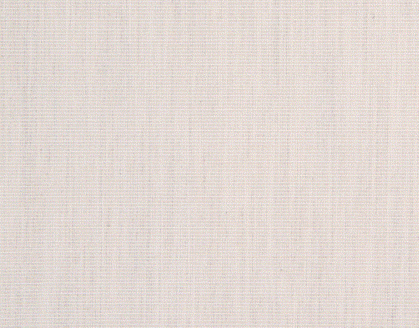 Tela acrilica Masacril Shell- SAULEDA x mtl