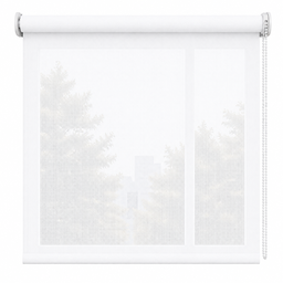 Cortina roller standard screen